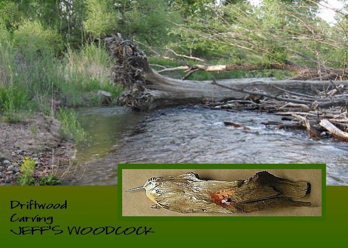 Wildlife Intentions: Jeff's woodcock